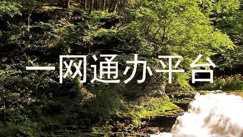 一网通办平台