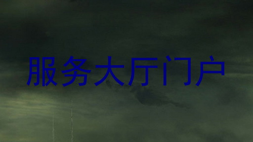 服务大厅门户
