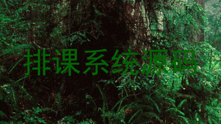 排课系统源码