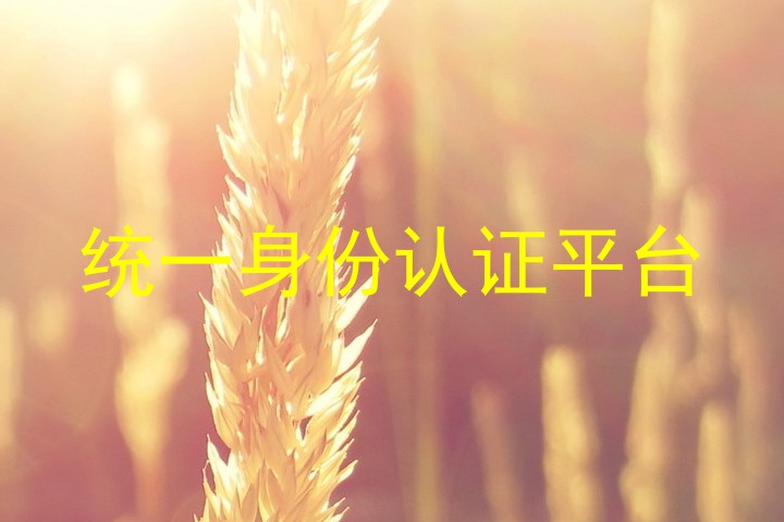 统一身份认证平台