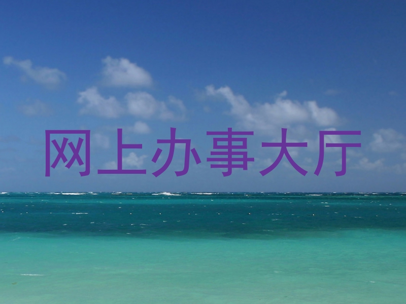 网上办事大厅
