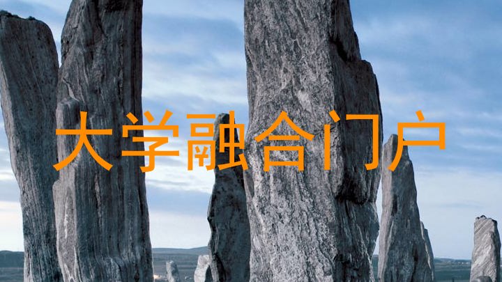 大学融合门户