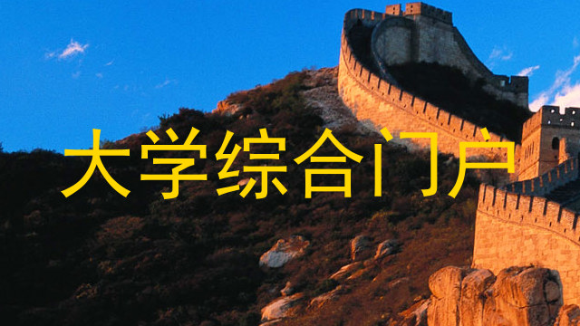 大学综合门户