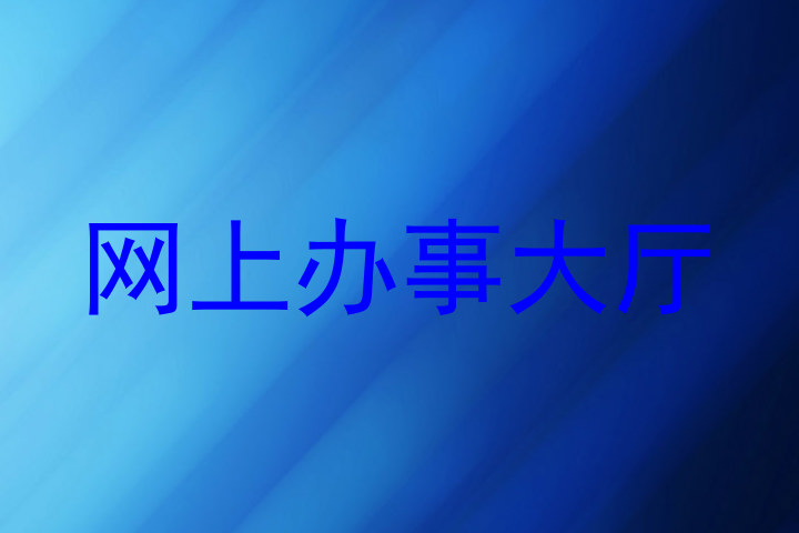 网上办事大厅