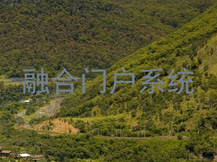 融合门户系统
