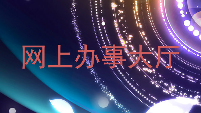 网上办事大厅
