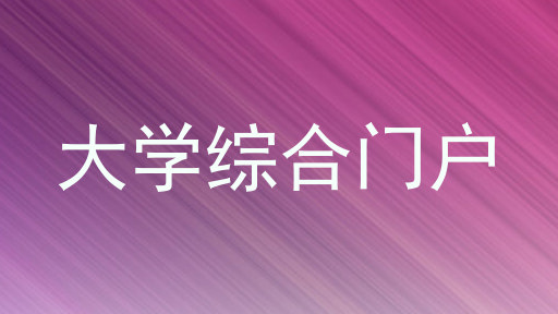 大学综合门户