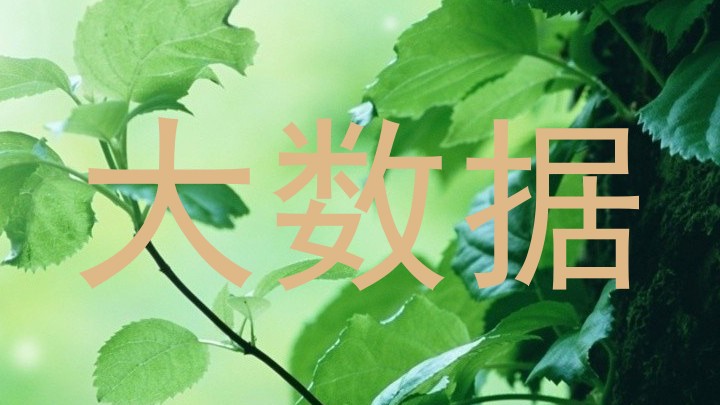 大数据