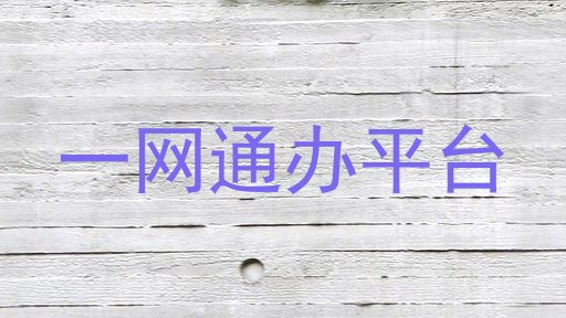 一网通办平台