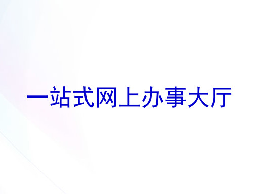 一站式网上办事大厅