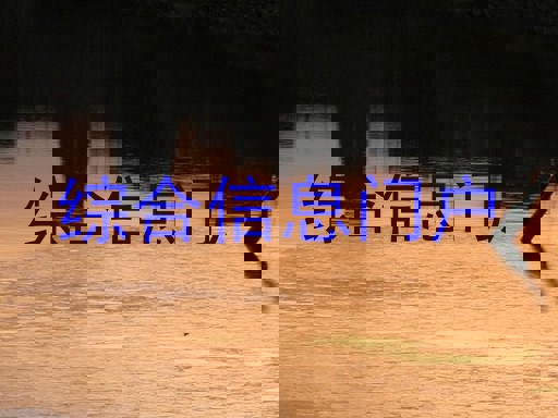 综合信息门户