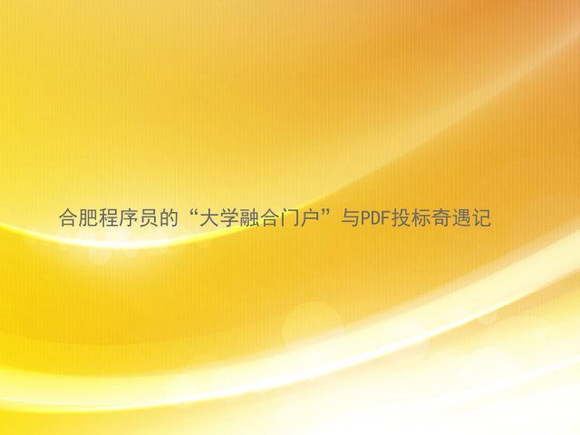 合肥程序员的“大学融合门户”与PDF投标奇遇记