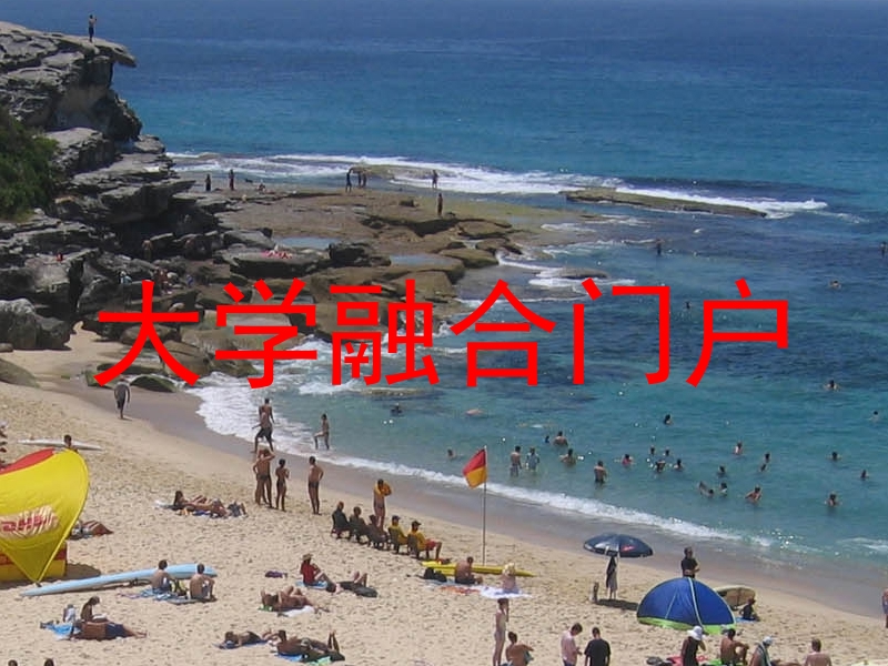 大学融合门户