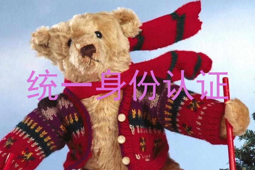 统一身份认证