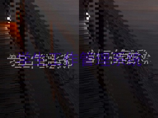 学生工作管理系统