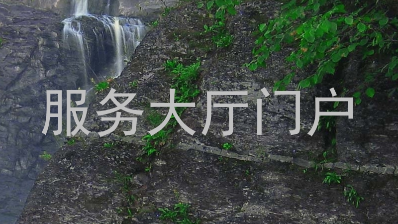 服务大厅门户