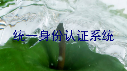 统一身份认证系统