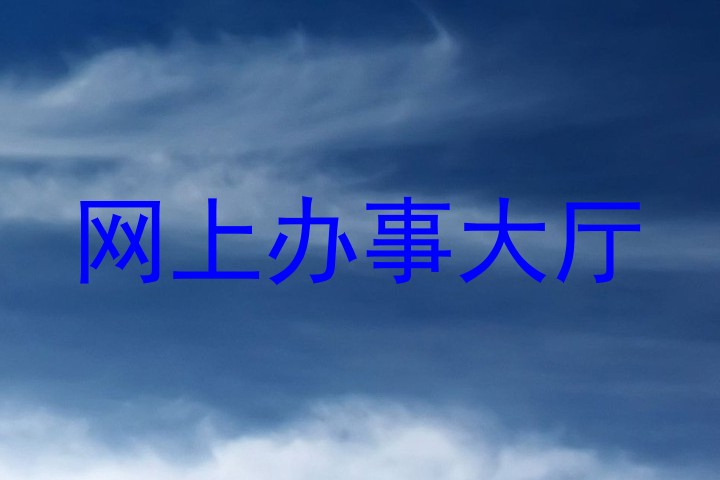 网上办事大厅