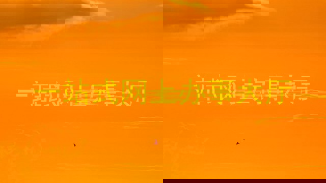 一站式网上办事大厅