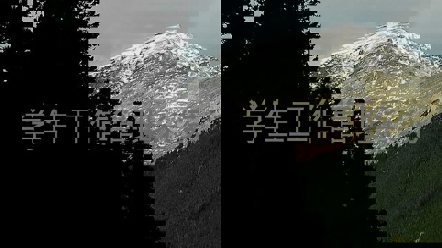 学生工作管理系统