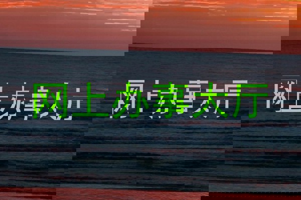 网上办事大厅