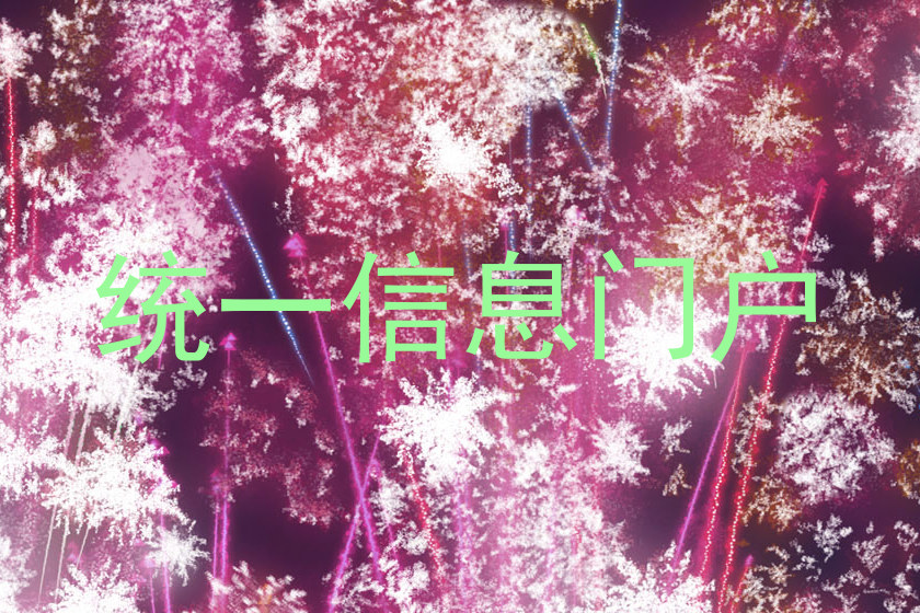 统一信息门户