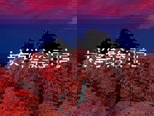 大学综合门户