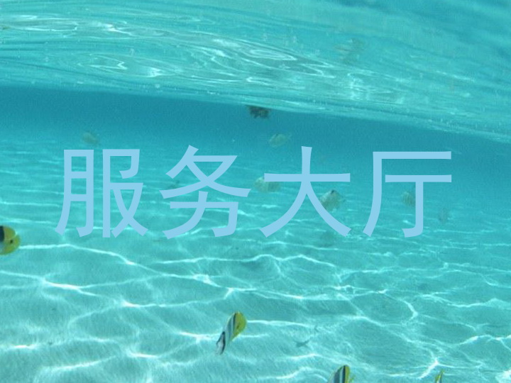 服务大厅