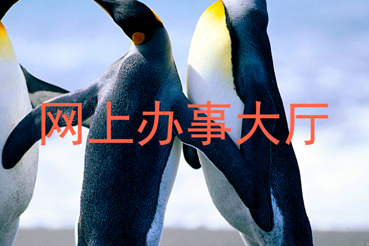网上办事大厅