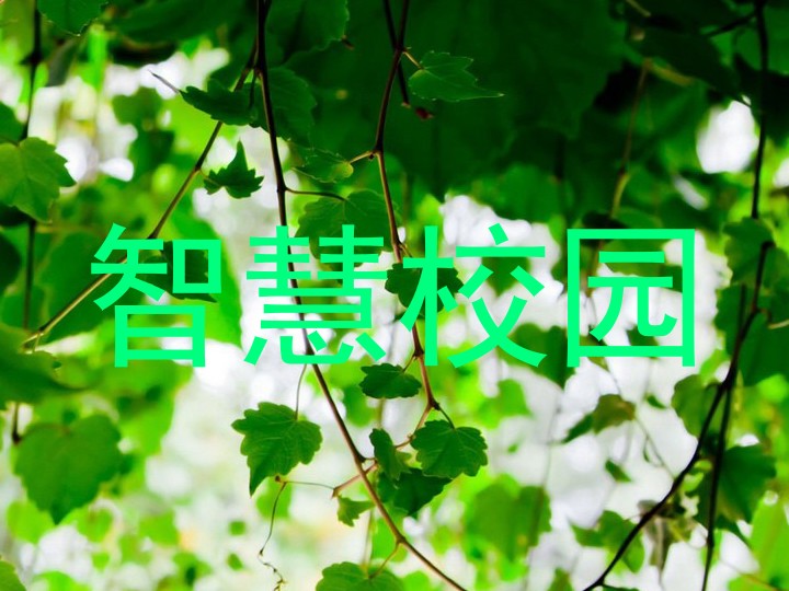 智慧校园