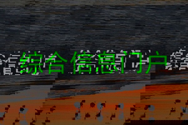 综合信息门户