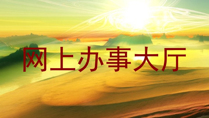 网上办事大厅
