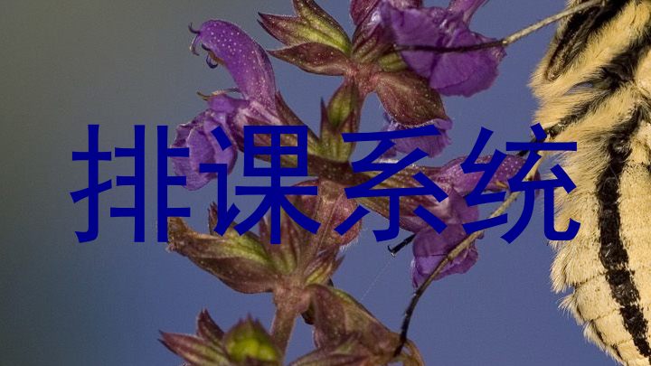 排课系统