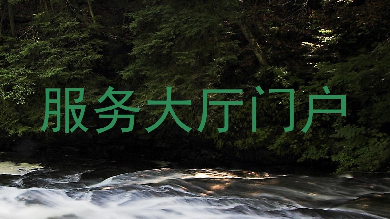 服务大厅门户
