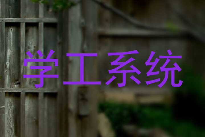 学工系统