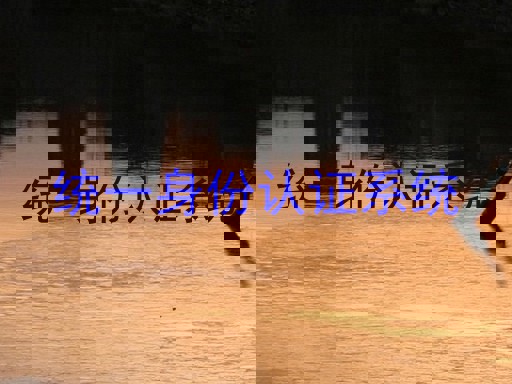 统一身份认证系统