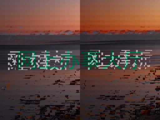 网上办事大厅