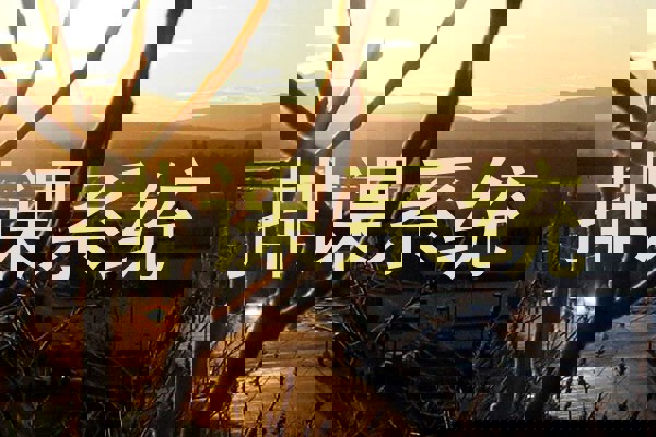 排课系统