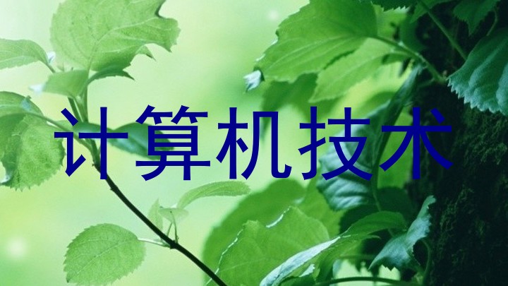 计算机技术
