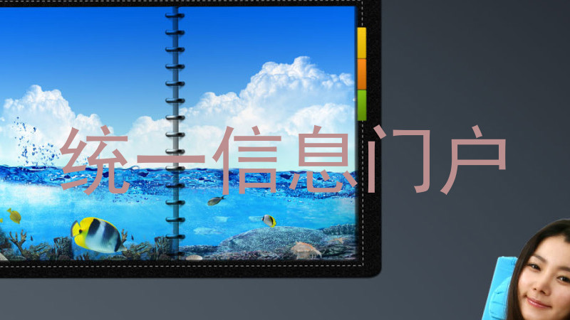 统一信息门户