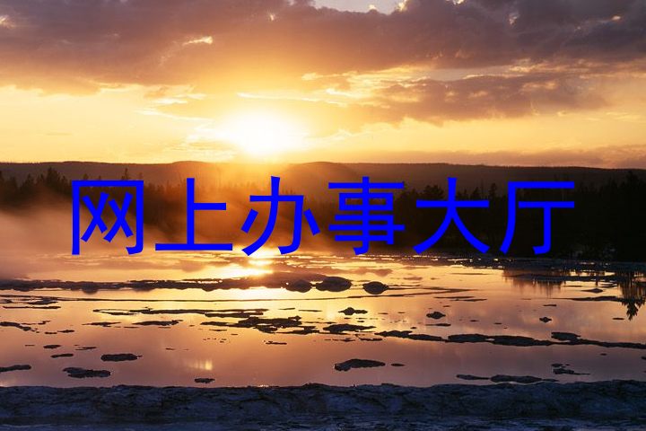 网上办事大厅