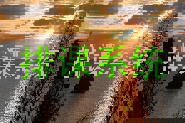 排课系统