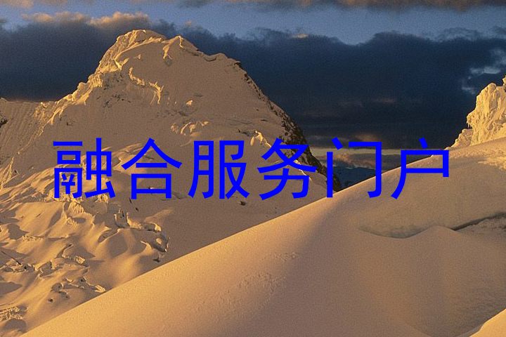 融合服务门户