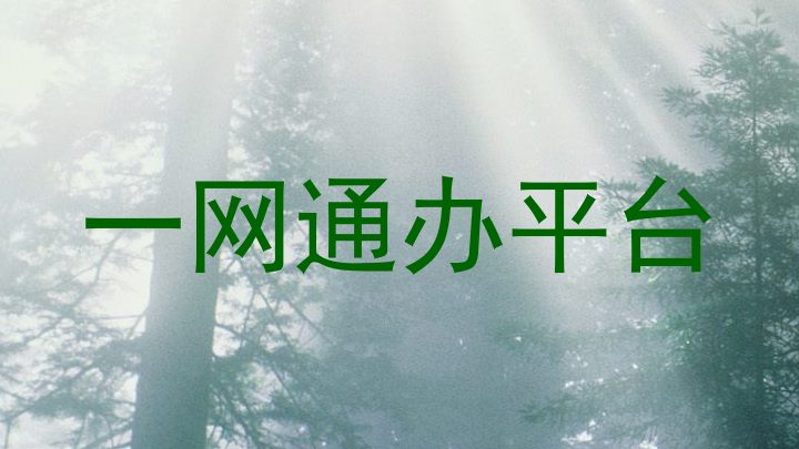 一网通办平台