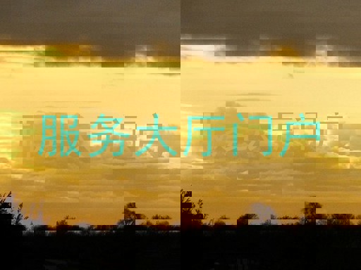 服务大厅门户