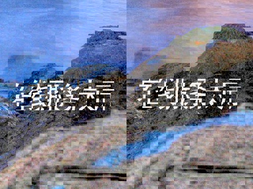 在线服务大厅