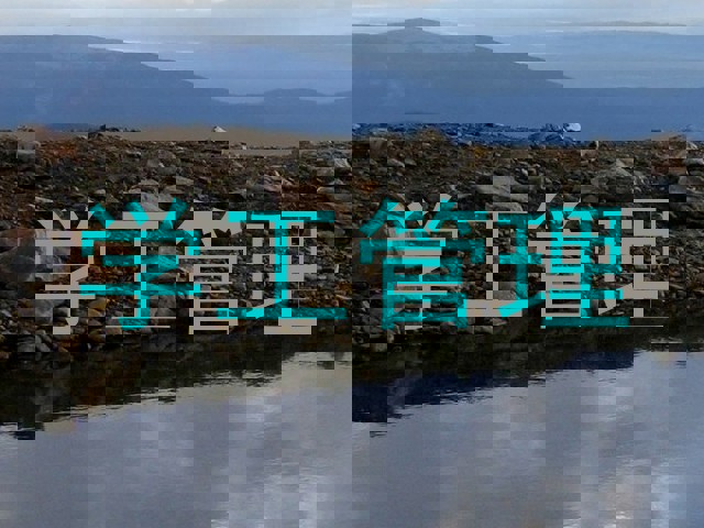 学工管理