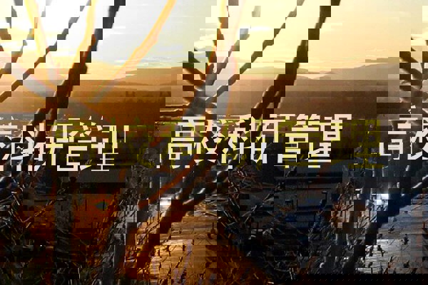 高校科研管理