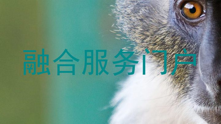 融合服务门户
