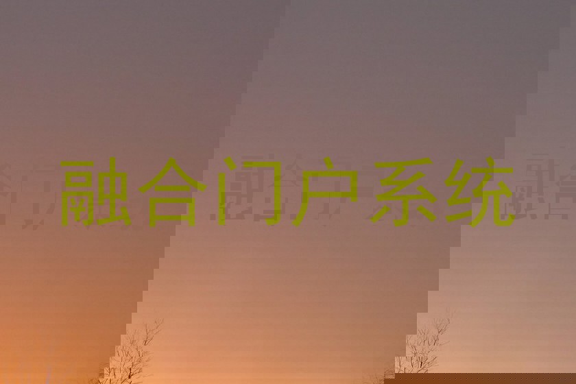 融合门户系统